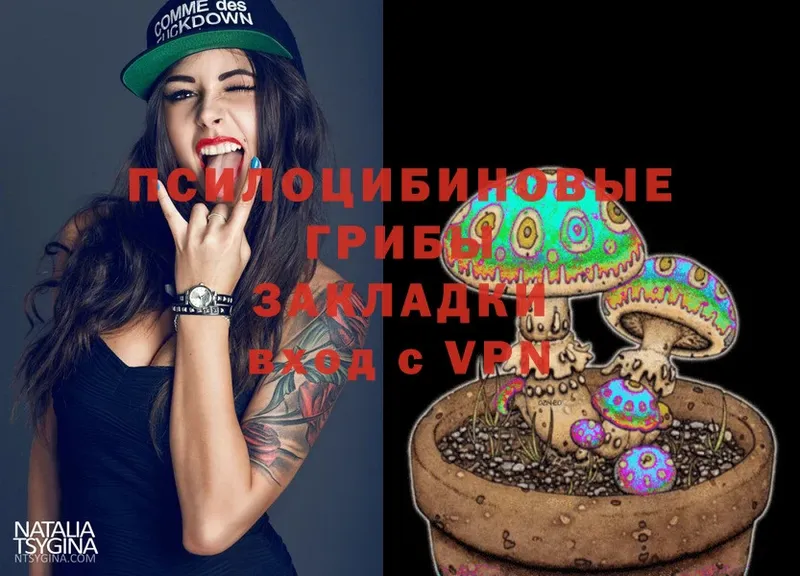 Псилоцибиновые грибы Magic Shrooms  omg зеркало  Казань  купить  